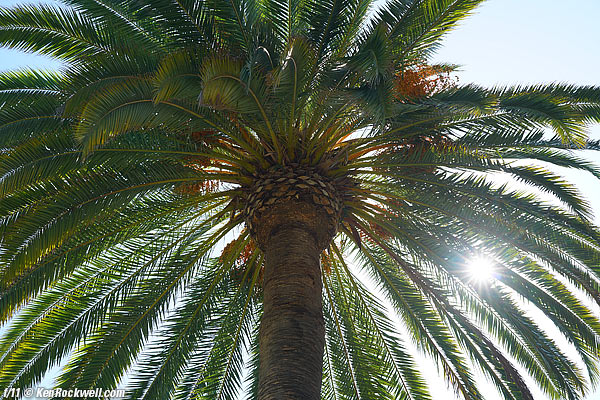 Sony Zeiss 55 1.8 sunstars