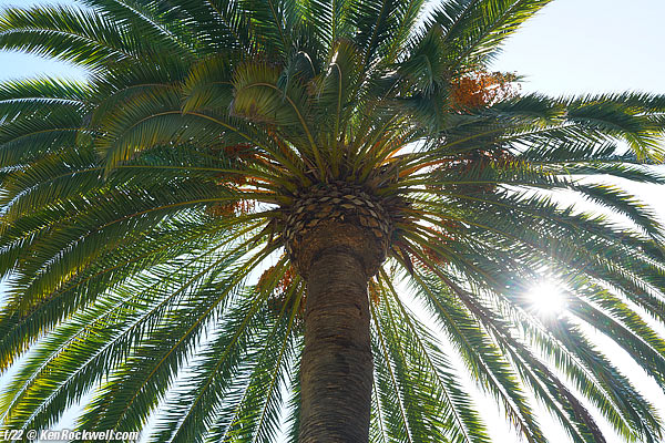 Sony Zeiss 55 1.8 sunstars