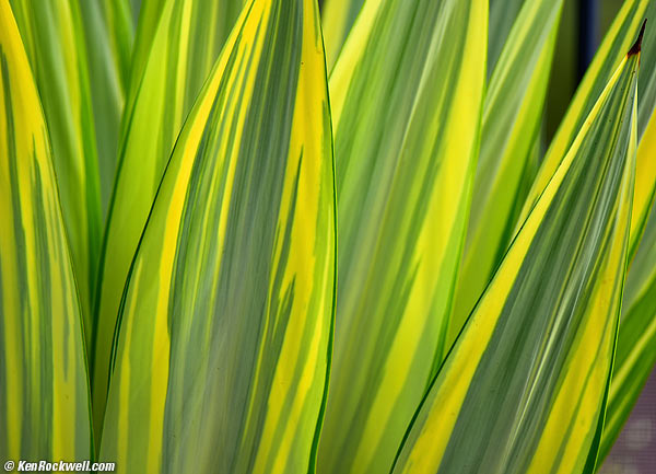 Roof tiles RP 17 Dec 2014