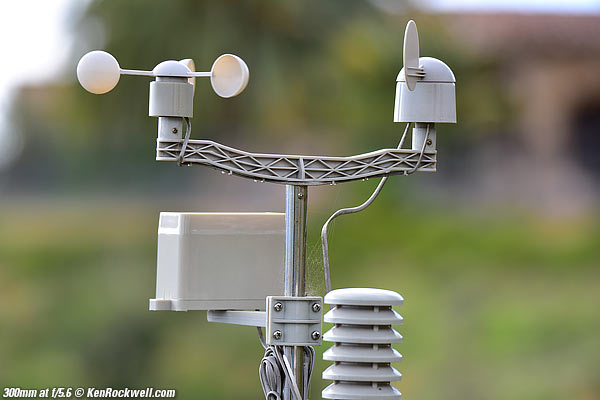 Tamron 150-600mm bokeh