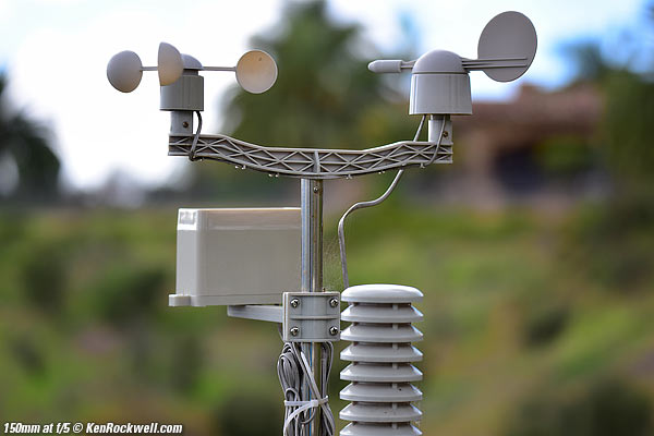 Tamron 150-600mm bokeh