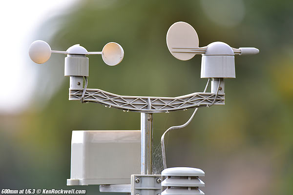 Tamron 150-600mm bokeh