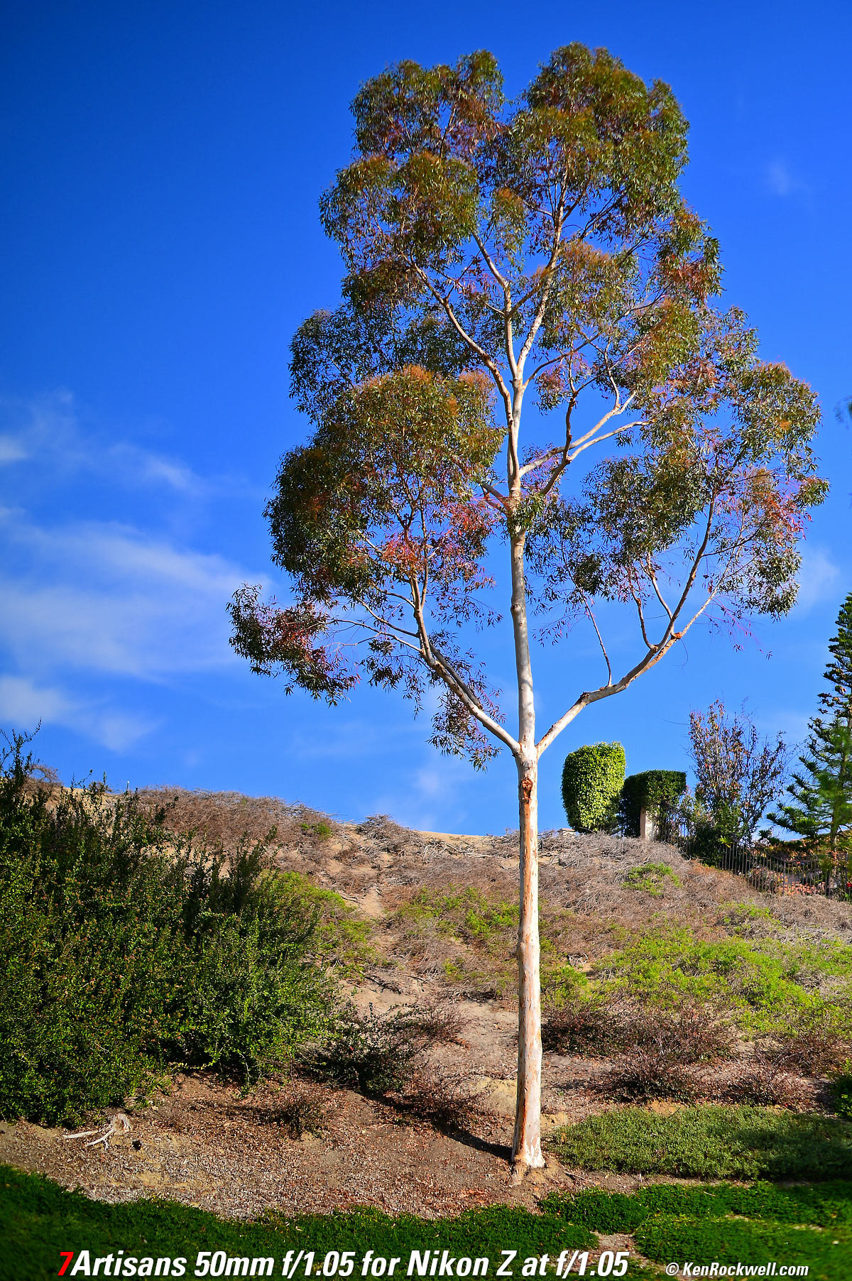 7Artisans 50mm f/1.05 Sample Image File