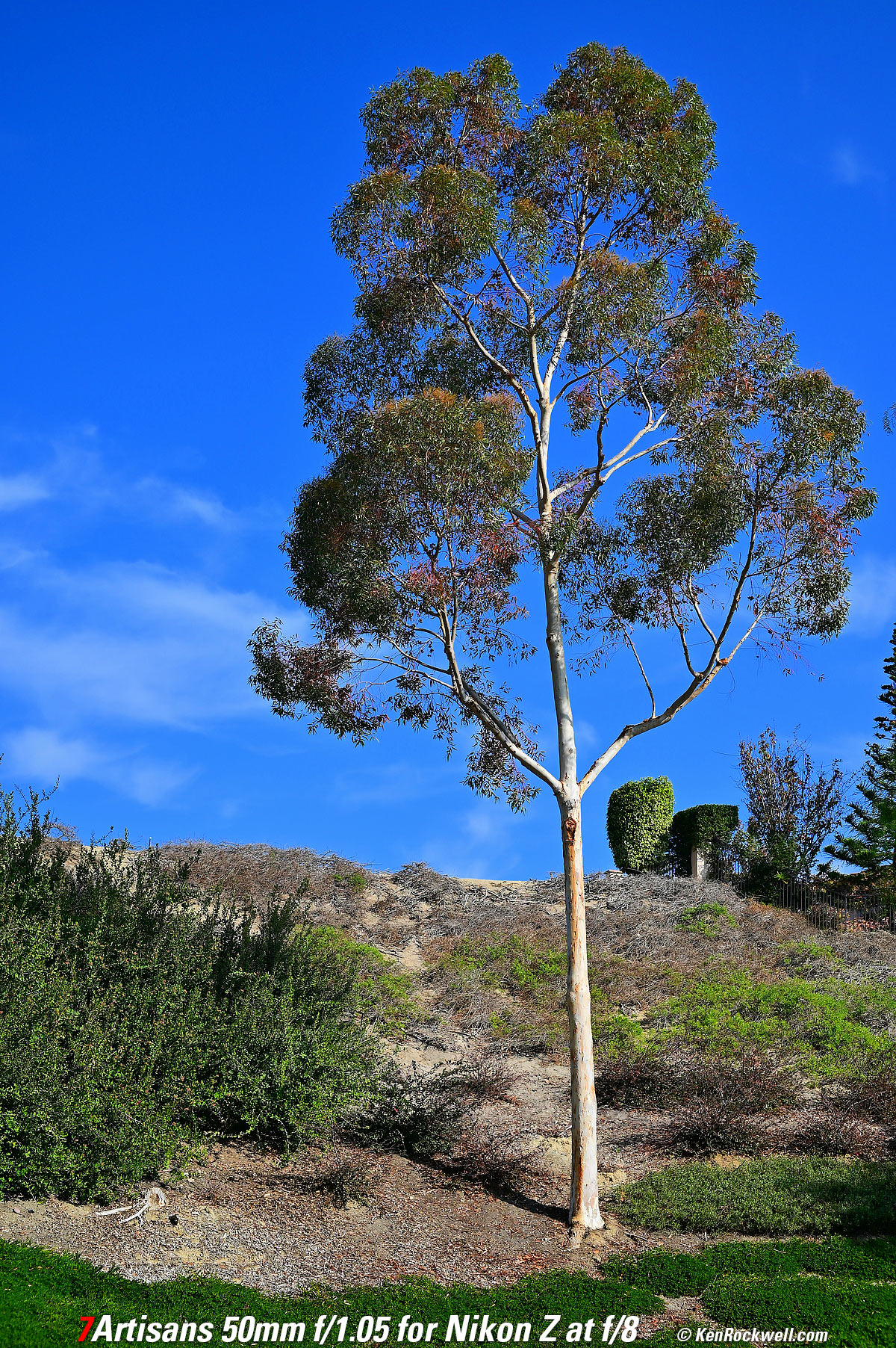 7Artisans 50mm f/1.05 Sample Image File