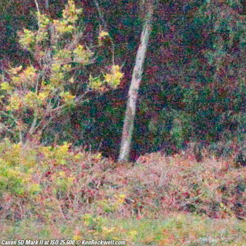 Canon 5D Mark II