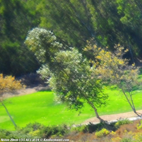 Nikon 20mm f/3.5 AI-s