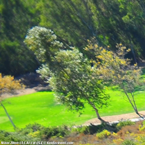 Nikon 20mm f/3.5 AI-s