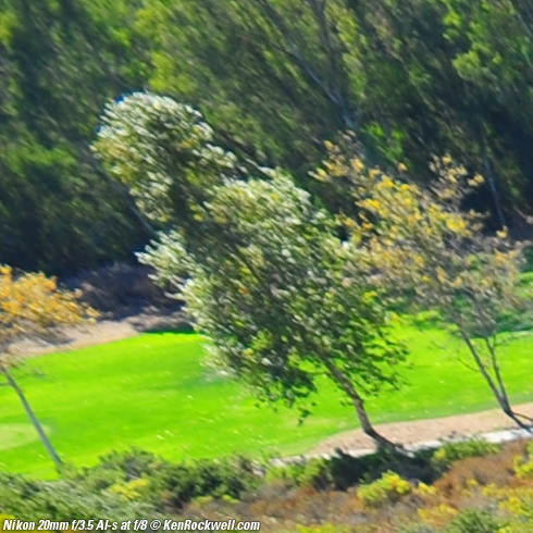 Nikon 20mm f/3.5 AI-s