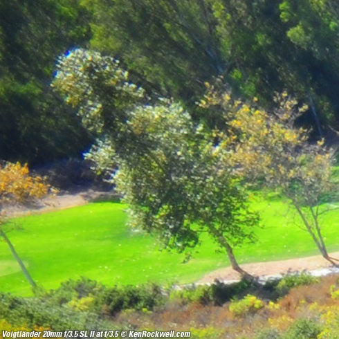 Voigtlander 20mm f/3.5 SL II