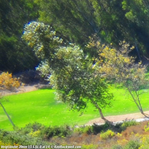 Voigtlander 20mm f/3.5 SL II