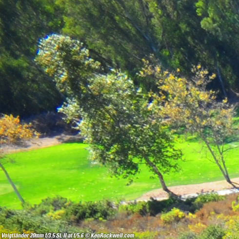 Voigtlander 20mm f/3.5 SL II