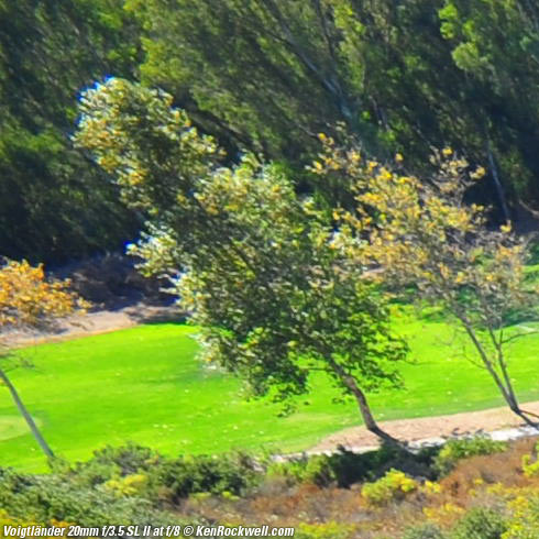 Voigtlander 20mm f/3.5 SL II