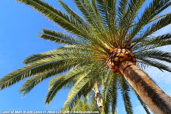 Canon 5D Mark III Image Quality Comparison