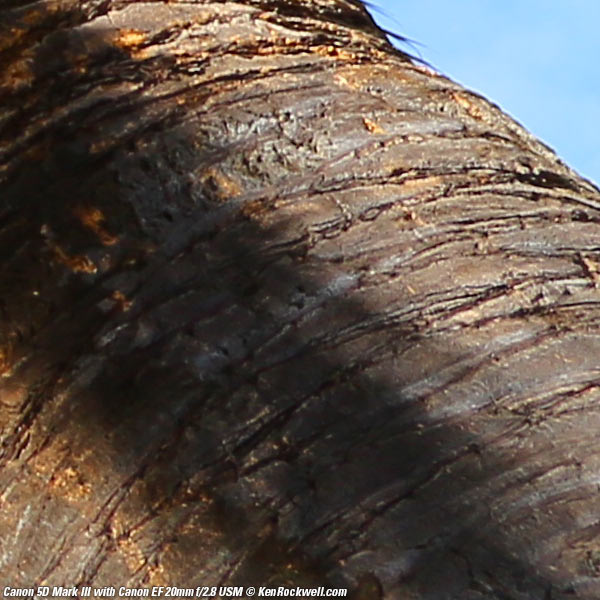 Canon 5D Mk III corner performance