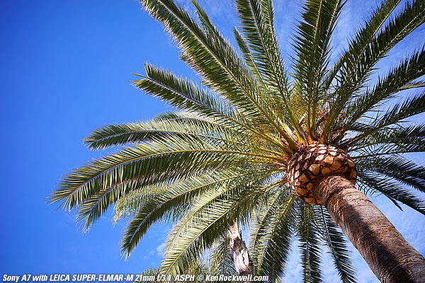 Sony A7 Image Quality Comparison