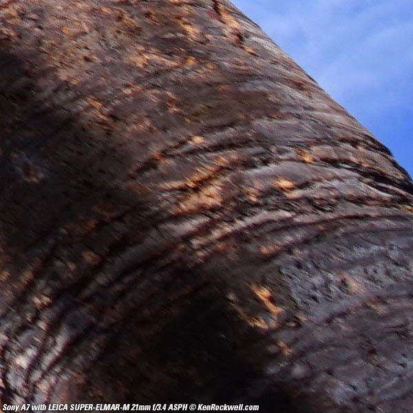 Sony A7 corner performance