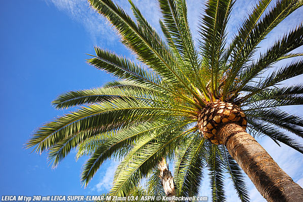 LEICA M typ 240 Image Quality Comparison