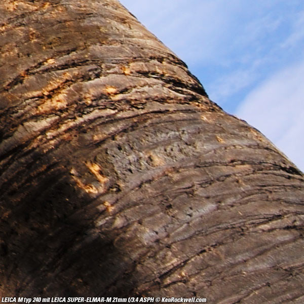 Leica M typ 240 corner performance