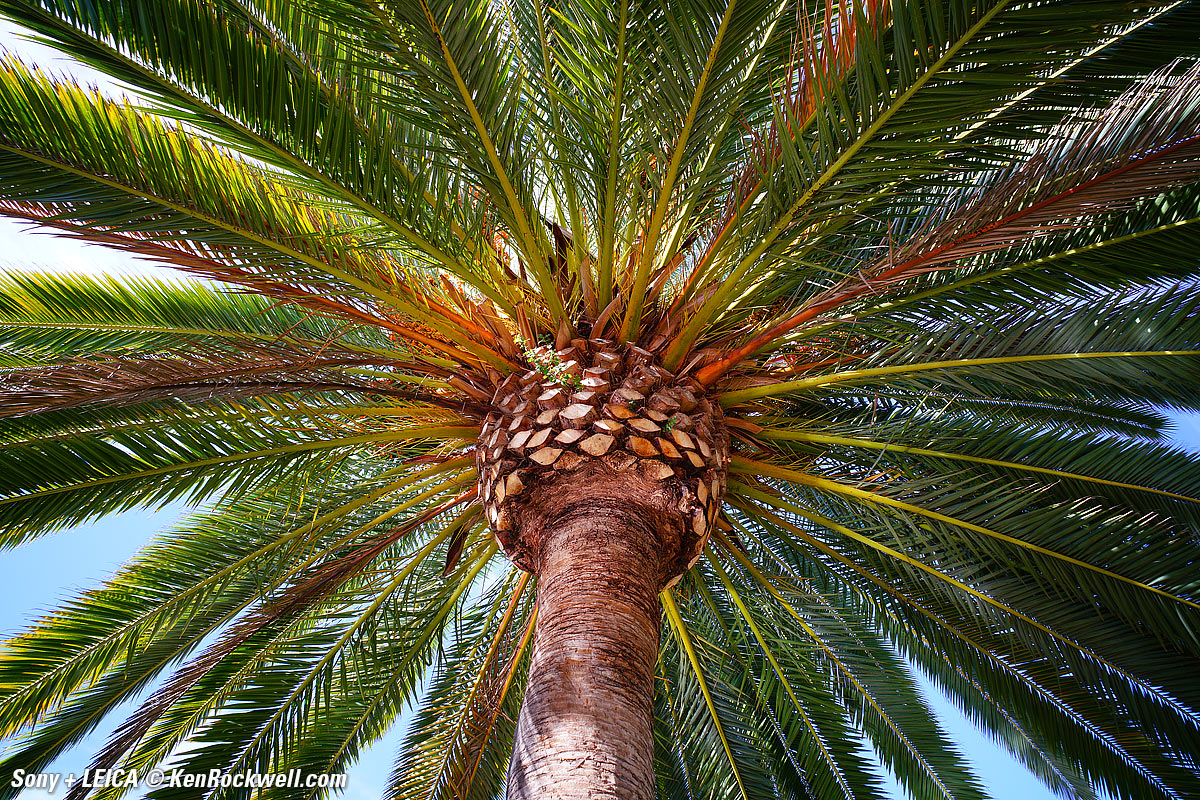 Sony A7R II and Leica 21/3.4