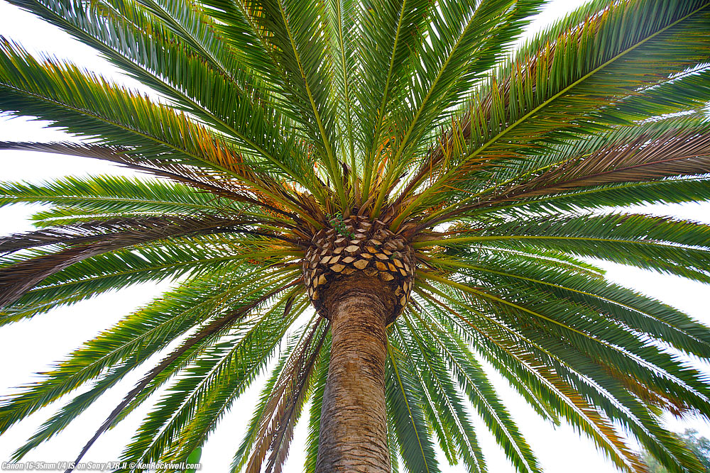 Canon 16-35mm f/4 IS on Canon 5DSR