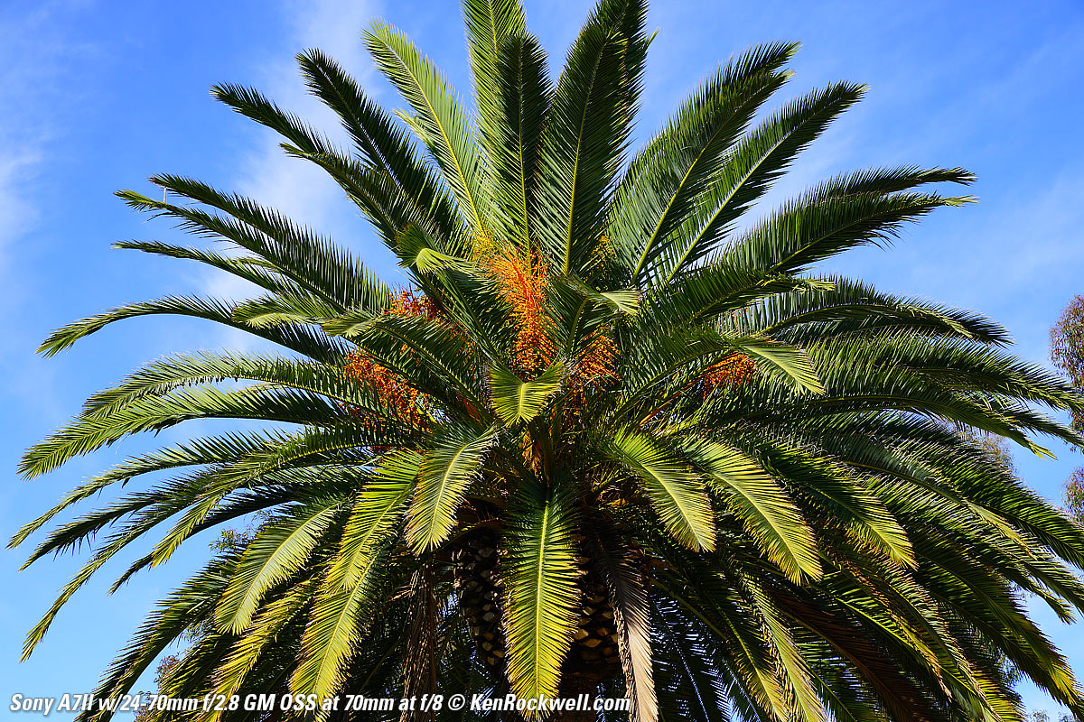 Sony A7II Sample Image