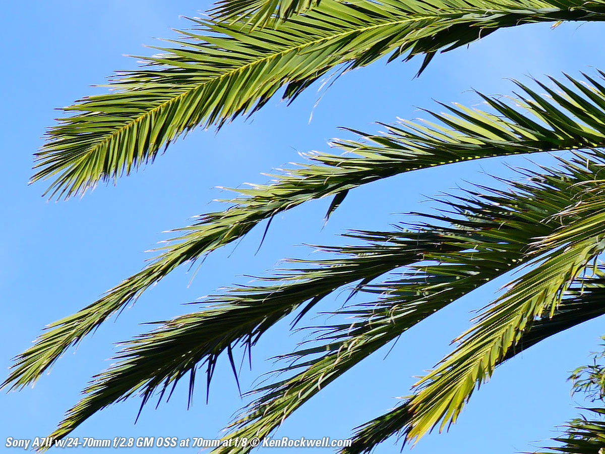 Sony A7II Sample Image