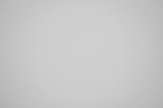 Laowa 65mm f/2.8 falloff