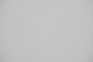 Laowa 65mm f/2.8 falloff