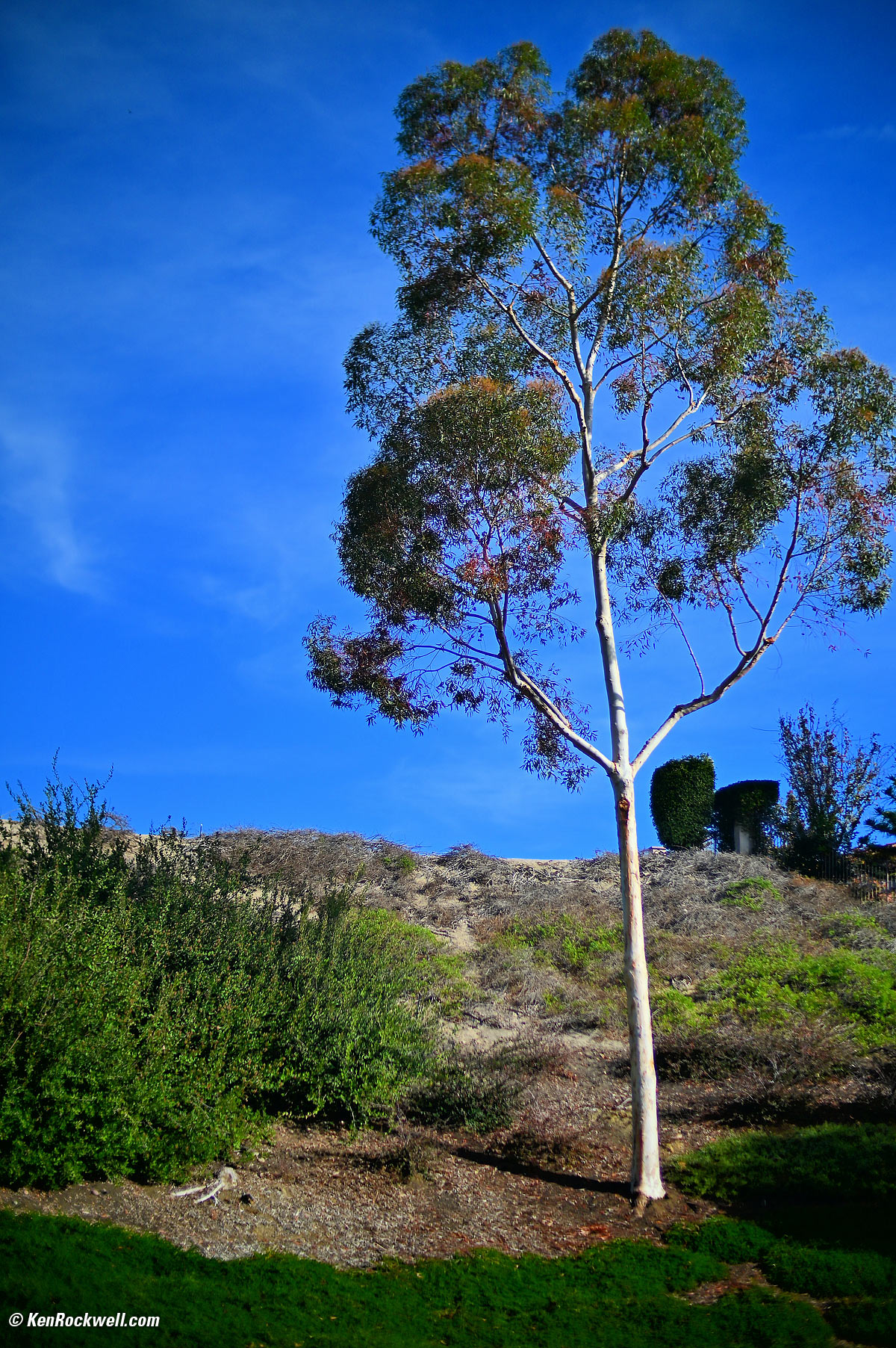 Mitakons 50mm f/0.95 Sample Image File