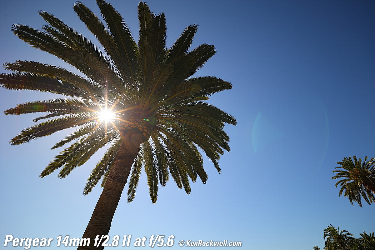 Pergear 14mm f/2.8 II Sunstars