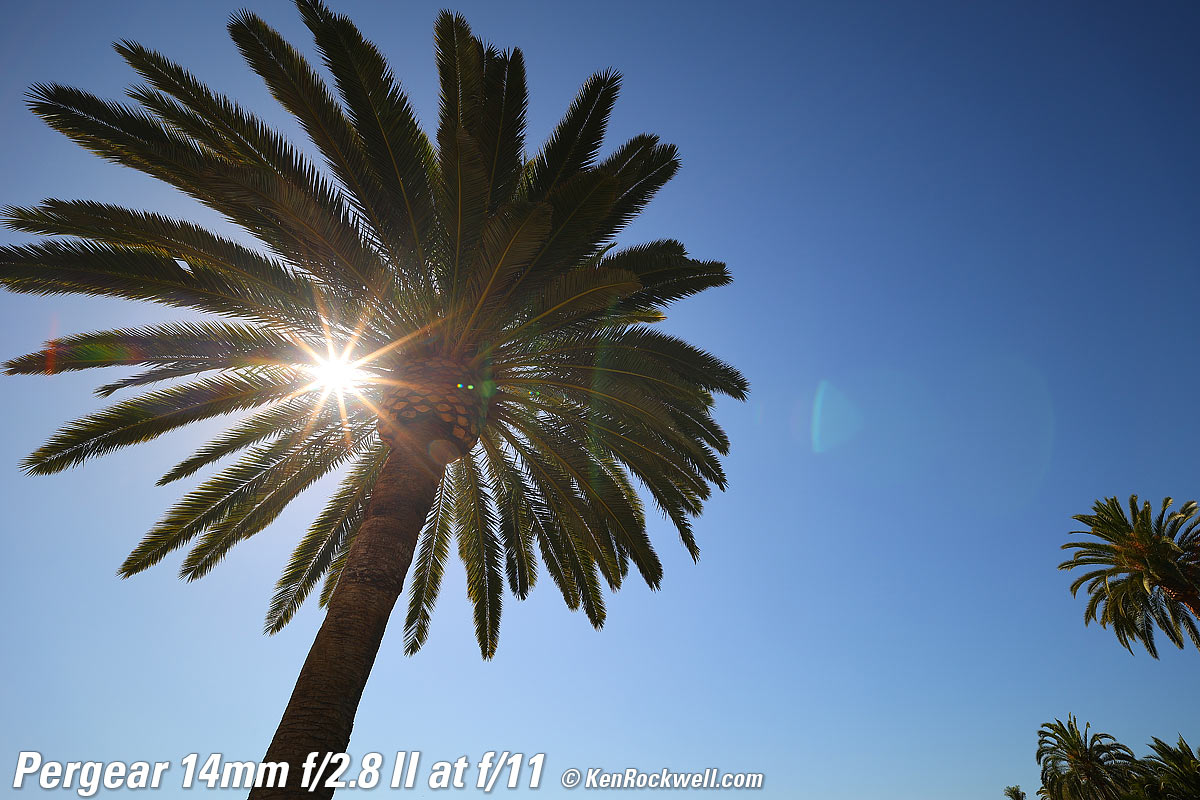 Pergear 14mm f/2.8 II Sunstars