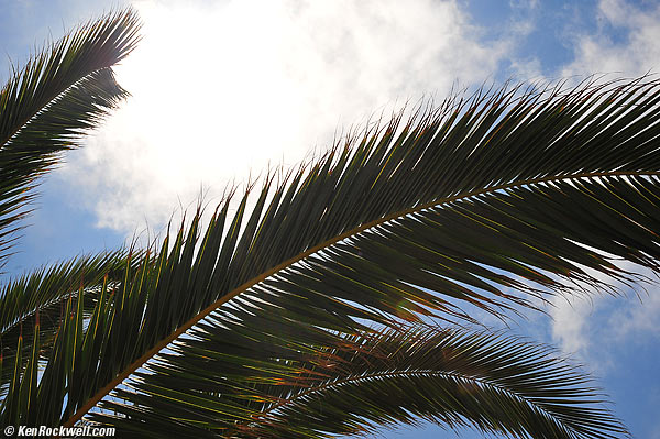 Rokinon 35/1.4 ghosts