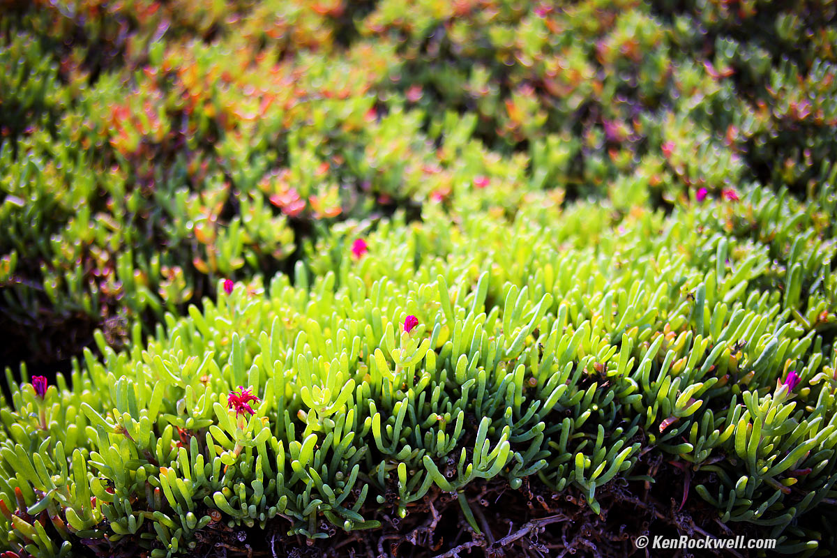 TTArtisan 35mm f/1.4 Sample Image File