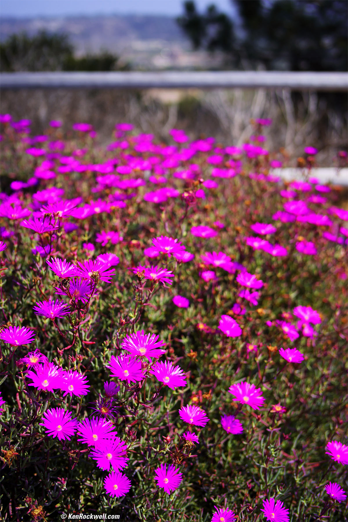 TTArtisan 35mm f/1.4 Sample Image File