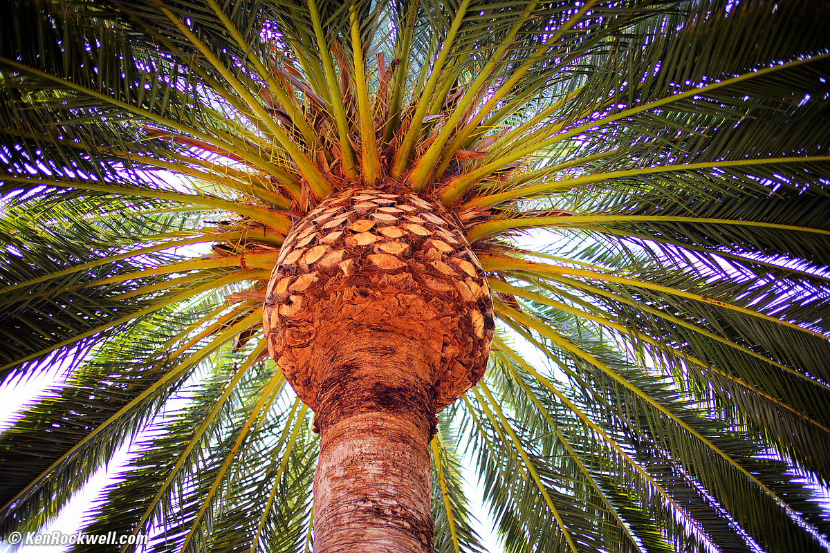 TTArtisan 35mm f/1.4 Sample Image File