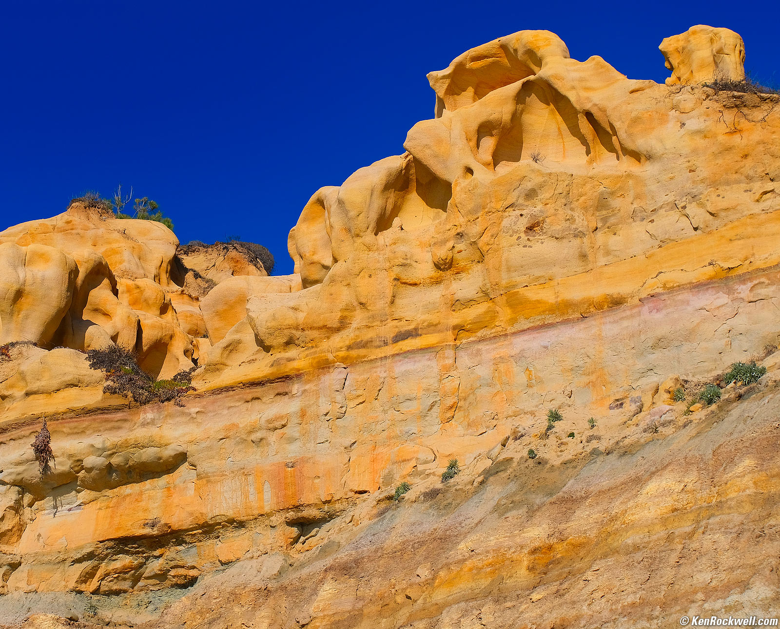 TTArtisan 56mm f/1.8 sample image