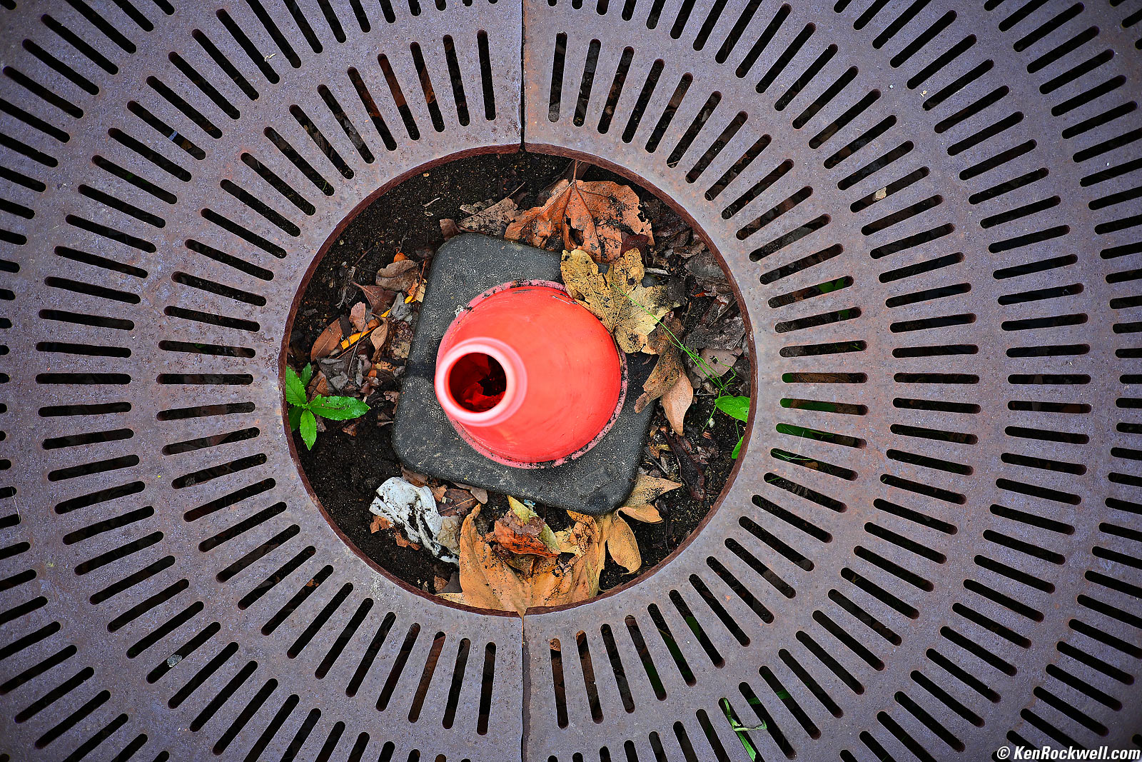 Viltrox AF 28mm f/4.5 Sample Image File by Ken Rockwell