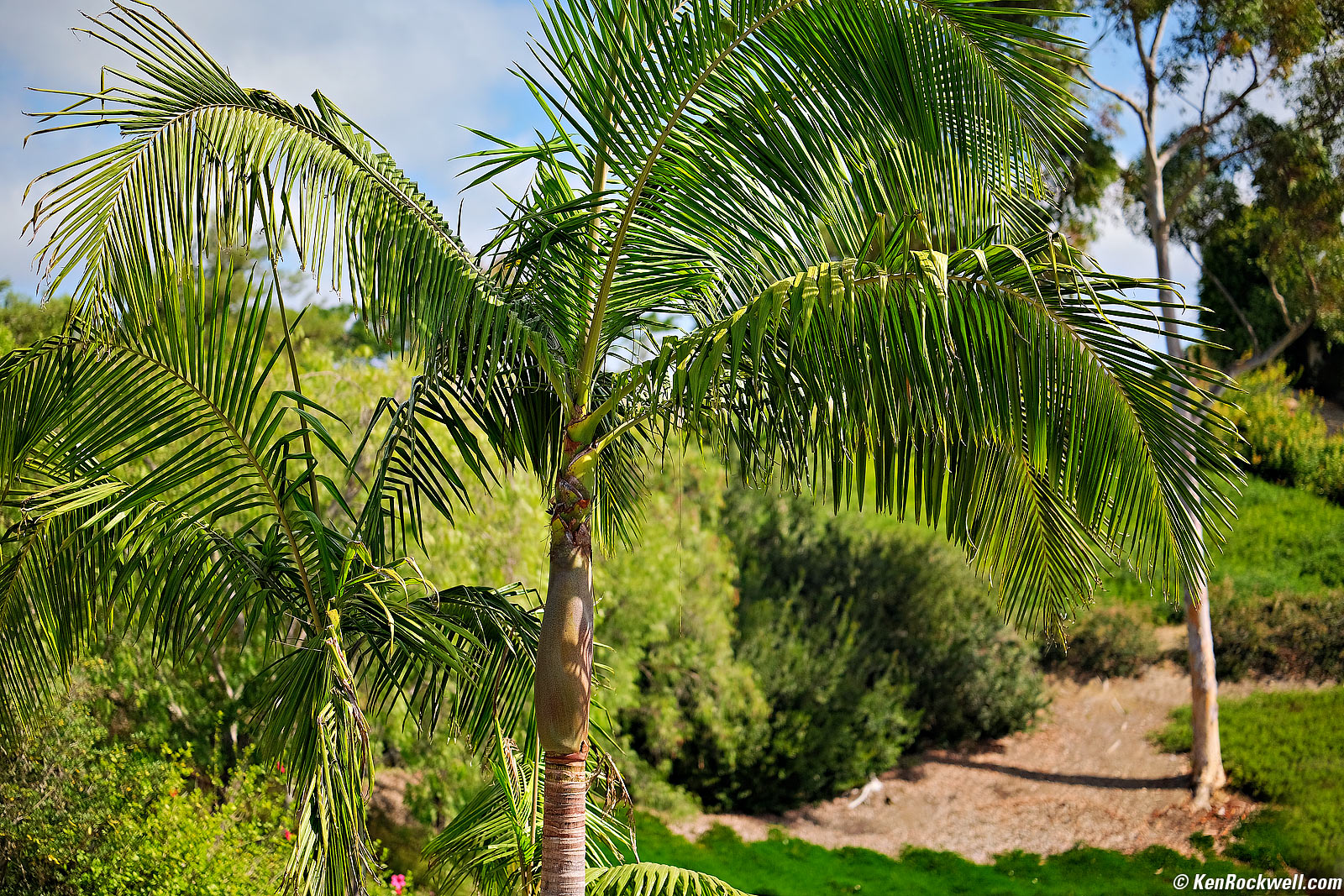 Viltrox 56mm f/1.2 Pro Sample Image File