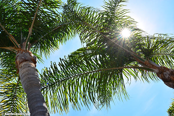 Sunstar, Tokina 12-28mm sunstars, 01 August 2013