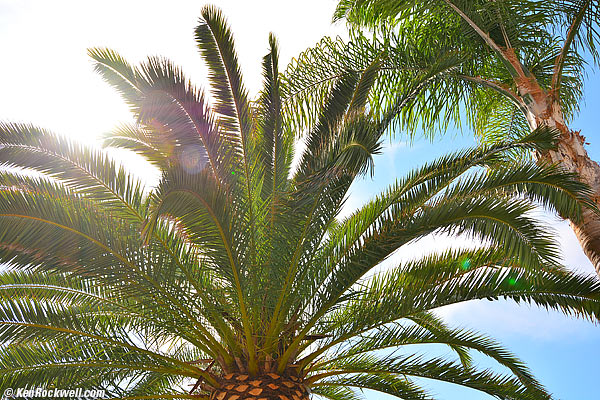 Tokina 12-28mm ghost