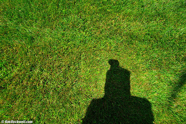 Palm, noon 05 Aug 2013