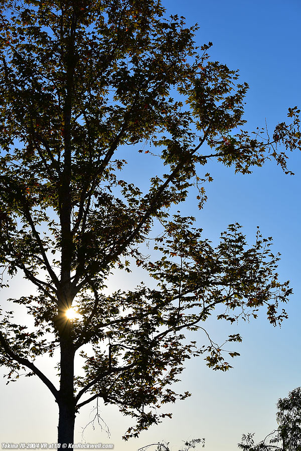 Sunstar, Tokina 70-200mm sunstars, 01 August 2014