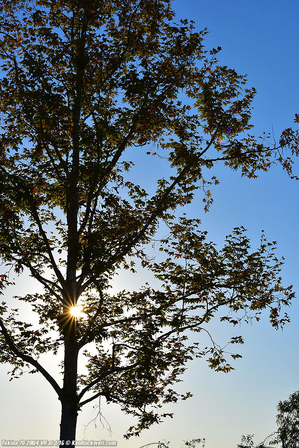 Sunstar, Tokina 70-200mm sunstars, 01 August 2014