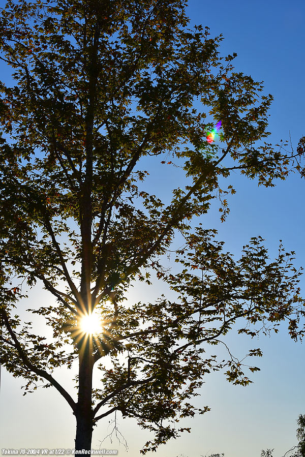 Sunstar, Tokina 70-200mm sunstars, 01 August 2014