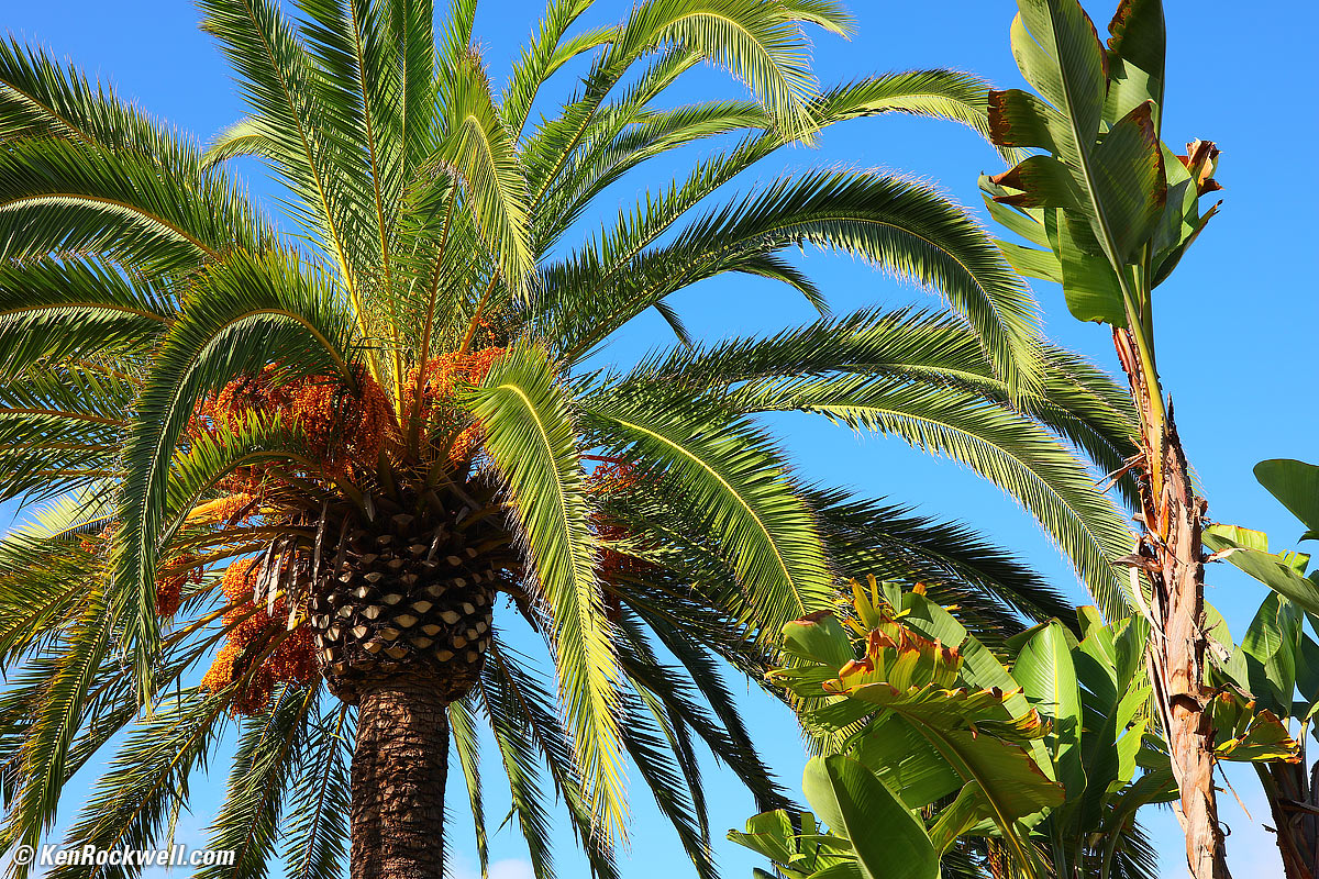 Panera Bread Exterior 667