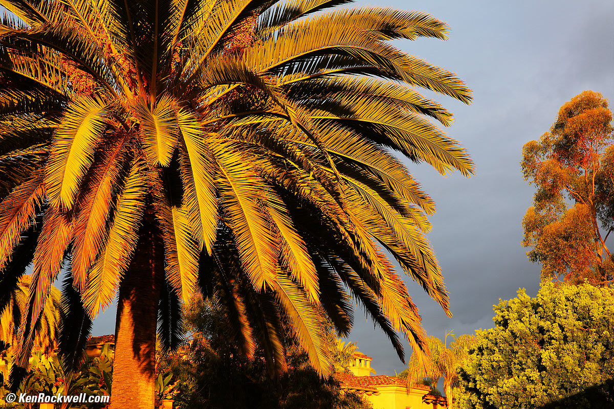 Approaching Autumn Storm