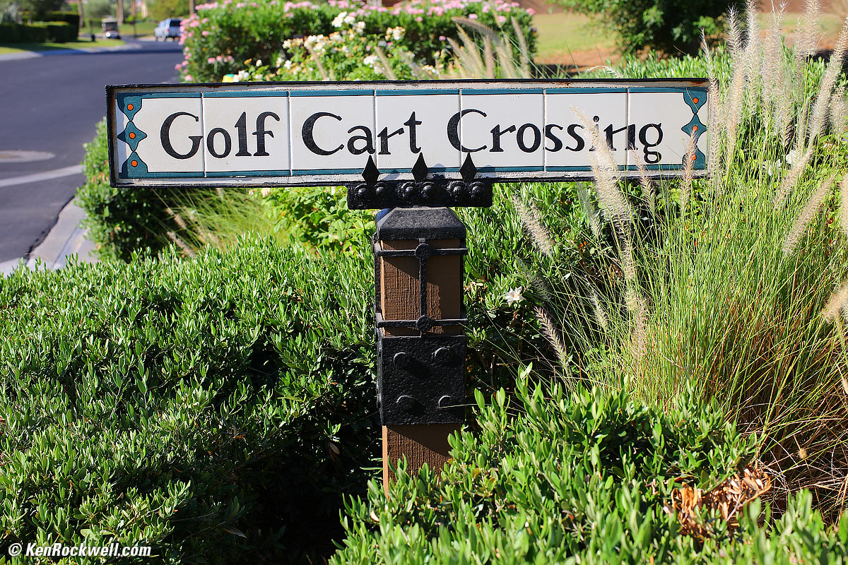 Tokina Opera 50mm f/1.4 Sample Image File