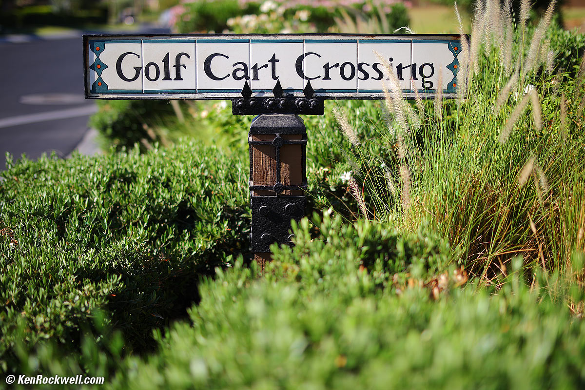 Tokina Opera 50mm f/1.4 Sample Image File