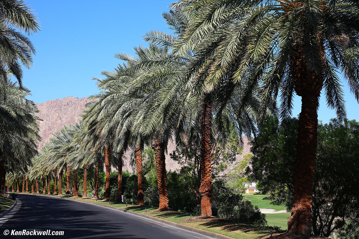 Tokina Opera 50mm f/1.4 Sample Image File