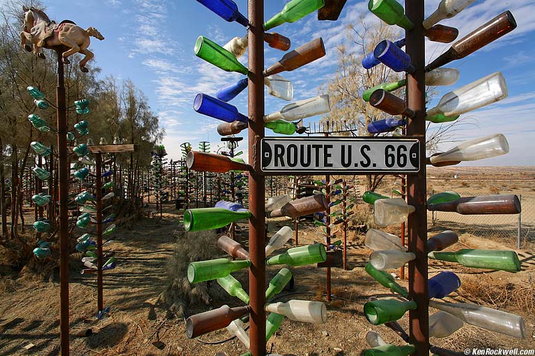 Bottle Tree Farm